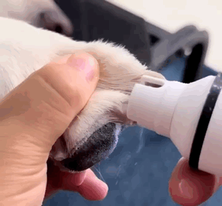 Zoomies- Electric Dog & Cat Nail Grinder ™️