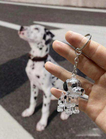 Zoomies-Memory Keychain Fur