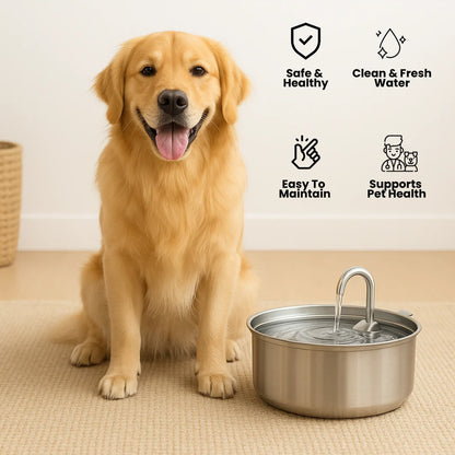 Zoomies -Pet Water Fontain™️
