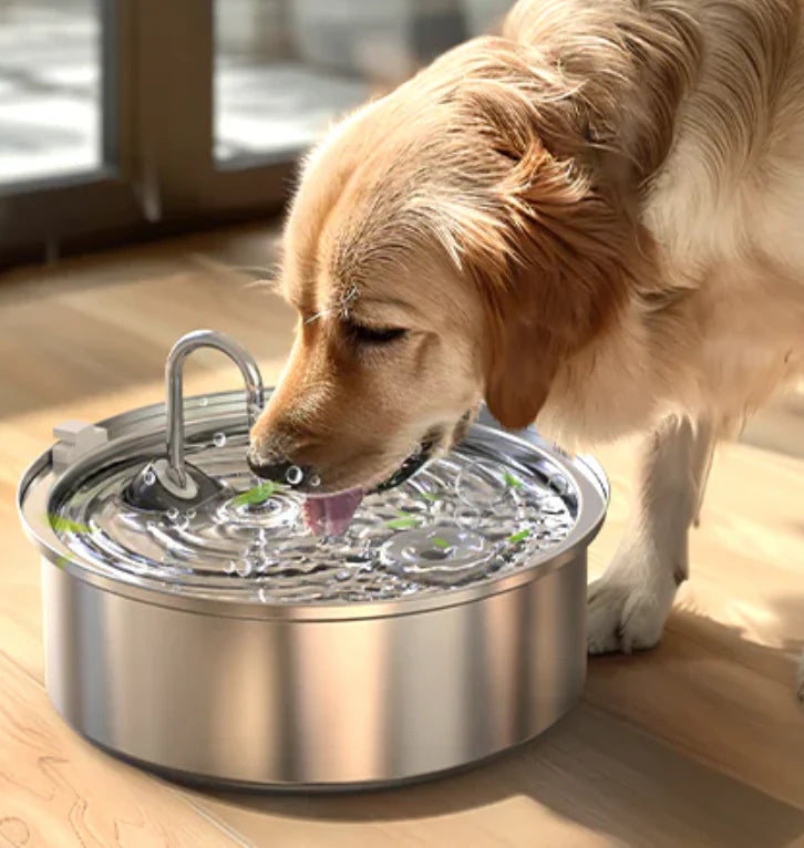 Zoomies -Pet Water Fontain™️