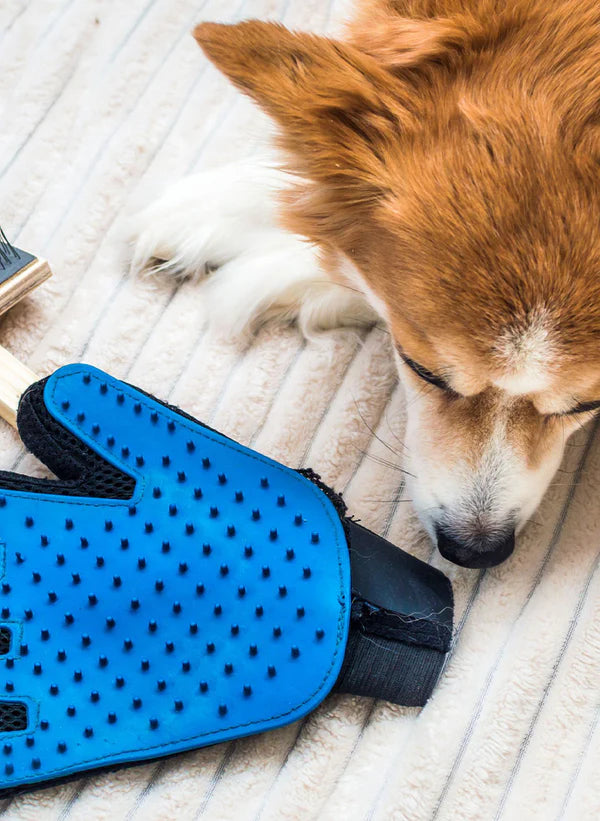 Zoomies- Enhanced Grooming Gloves Set™️