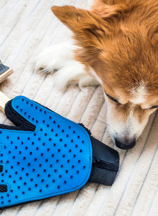 Zoomies- Enhanced Grooming Gloves Set™️