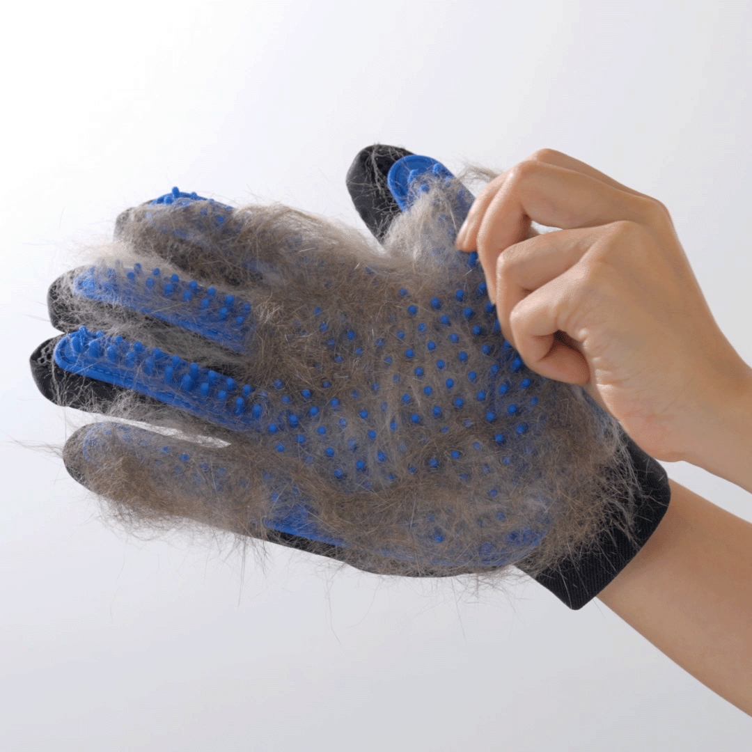 Zoomies- Enhanced Grooming Gloves Set™️
