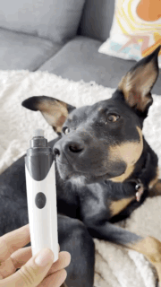 Zoomies- Electric Dog & Cat Nail Grinder ™️