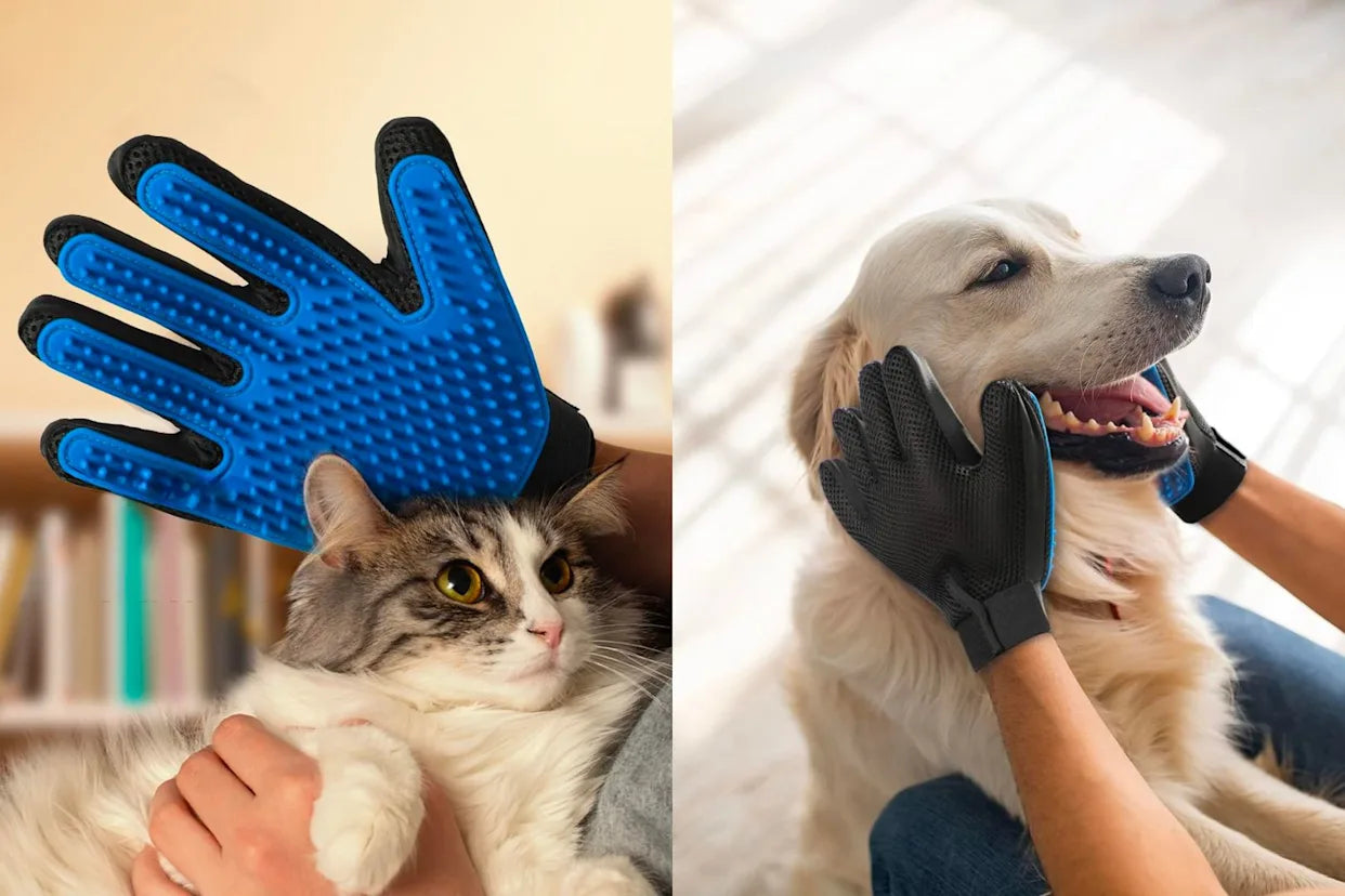Zoomies- Enhanced Grooming Gloves Set™️