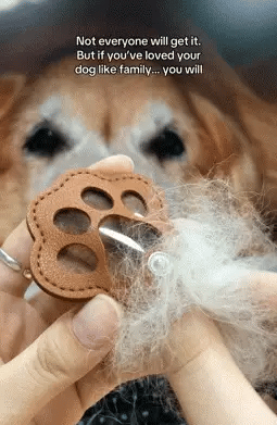 Zoomies-FurEver Keychain Fur Paw